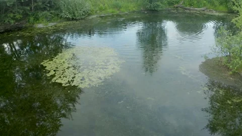 Top view aerial flight over small lake of perfectly round shape. Moving up, clea 스톡 동영상 208422892