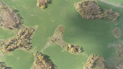 Top view aerial fly over a mowed field with small Islands of forest Stock Footage 115910745