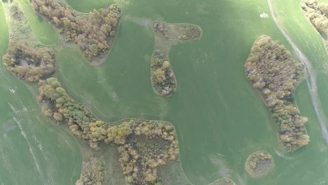 Top view aerial fly over a mowed field with small Islands of forest and road Stock Footage 115910859