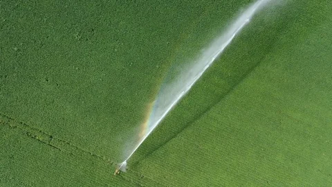 Top view aerial shot of irrigation sprayer irrigating cultivated fields. Stock Footage 117138658