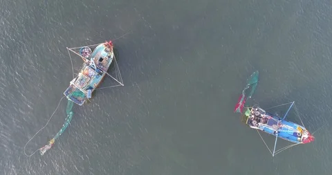 Top view. Aerial view from drone Video stock 114048197