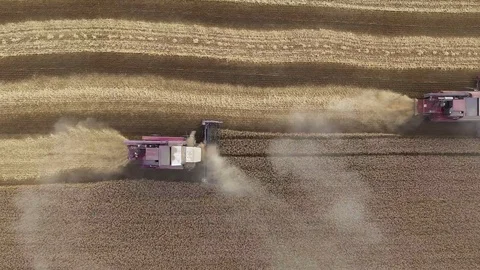 Top view. Aerial view of modern combine harvesting wheat on the field. Flying Stock Footage 85828154