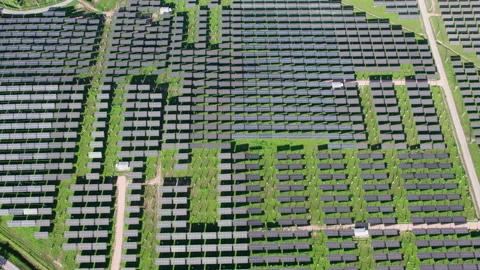Top view Aerial view of Solar panel, photovoltaic Stock Footage 221010288