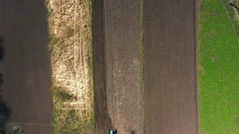 Top view, aerial view. the tractor cultivates the land. preparation for growing Stock Footage 130869860