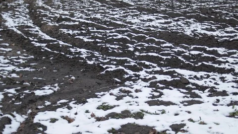 Top view of agricultural fields covered with snow. Plowed Field covered snow. Stock Footage 126875266