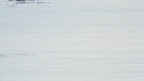Top view of agricultural fields covered with snow. Видео 168444947
