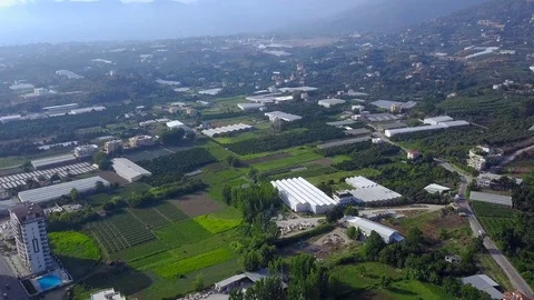 Top view of agricultural fields with green plants in city. Clip. Plots of Stock Footage 115984815
