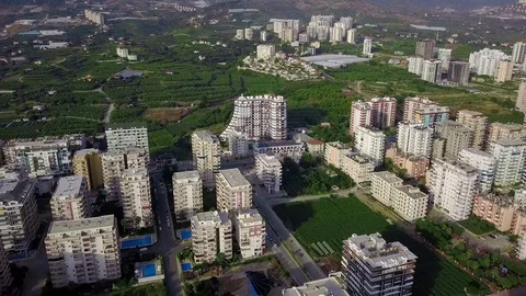Top view of agricultural fields with green plants in city. Clip. Plots of Stock Footage 115985096