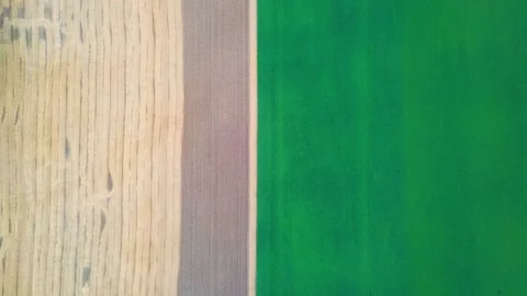 Top view of agricultural fields, land. Beautiful scenic countryside view 스톡 동영상 146280009