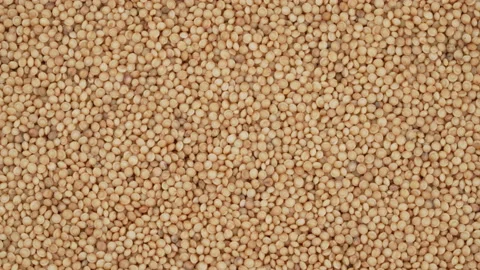 Top view of amaranth seeds rotating. Closeup. Macro. Stock Footage 170626186
