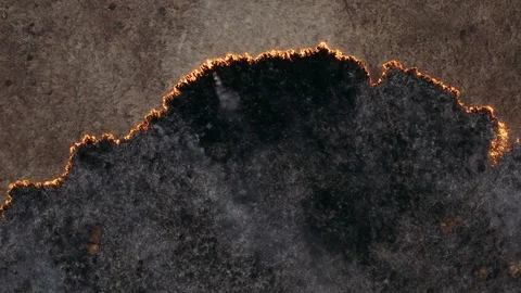Top view and flying over the field with a line of fire. Epic video shooting 스톡 동영상 126227565