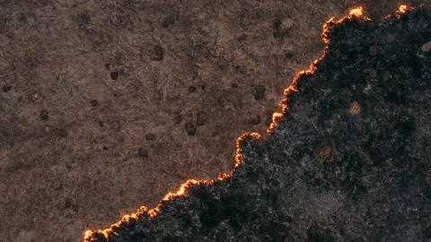 Top view and flying over the field with a line of fire. Epic video shooting Stock Footage 130013805