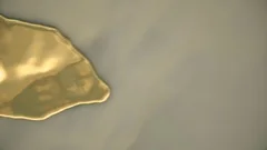 Waves on the surface of liquid gold. Ani, Stock Video