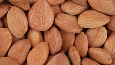 Top view of apricot kernels rotating. Closeup. Macro. Stock Footage 170628132