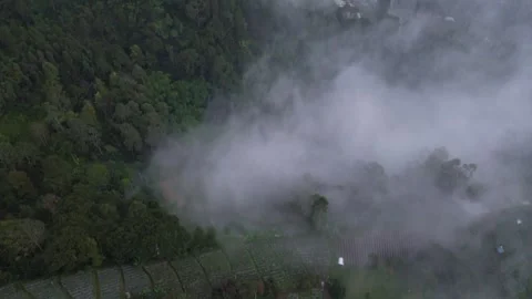 Top View from Area on the Mountain Stock Footage 309296740