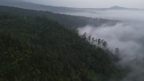 Top View from Area on the Mountain Stock Footage 309296760