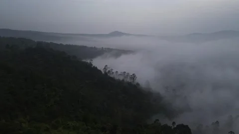 Top View from Area on the Mountain Stock Footage 309296781