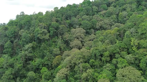 Top View from Area on the Mountain Stock Footage 309297237