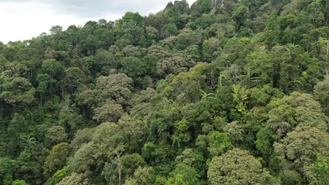 Top View from Area on the Mountain Stock Footage 309297308