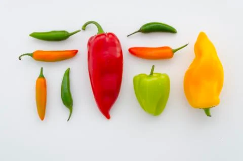 Top view arranged different type peppers orange red yellow green isolated on a Stock Photos