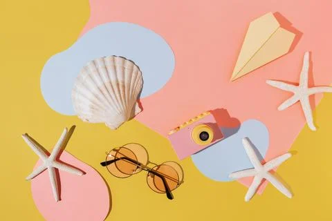Top view arrangement with seashells Stock Photos
