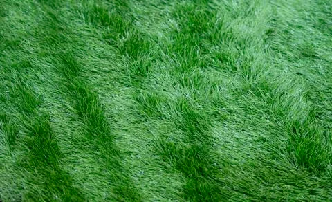 Top view of artificial grass. Floor coverings for playgrounds. Stock Photos