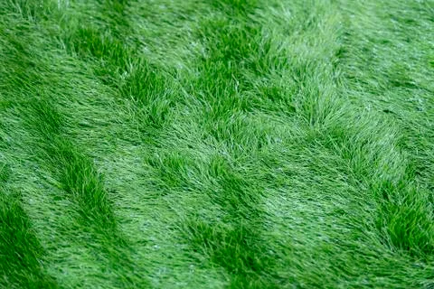 Top view of artificial grass. Floor coverings for playgrounds. Stock Photos