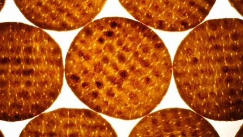 Top view of Asian thin flatbread in flat lay close up, rotating clockwise Stock Footage 86430200