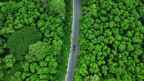 Top view of asphalt road through forest with car adventure. Video stock 276941396