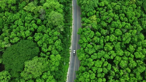 Top view of asphalt road through forest with car adventure. Stock Footage 276941427