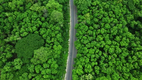 Top view of asphalt road through forest with car adventure. Video stock 276941637