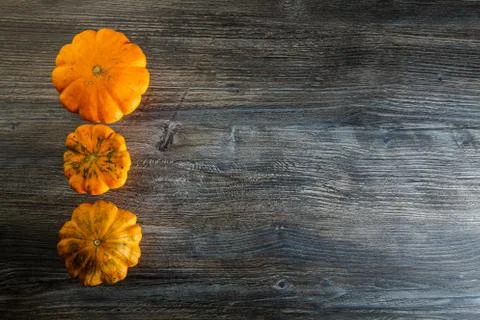 Top view on assorted decorative pumpkins in row on wooden table Stock Photos