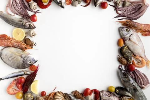 Top view assortment seafood frame. High quality and resolution beautiful photo Stock Photos