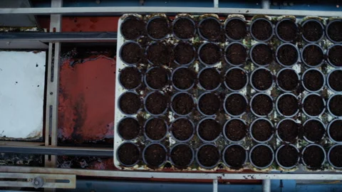 Top View of Automated Seeding Tray on Rails 库存影片 313506737