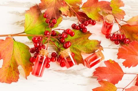 Top view of the autumn composition of bottles with natural viburnum oil and.. Stock Photos