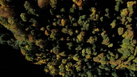 Top view on the autumn deep forest covering the ural mountains. lovely tree Stock Footage 204010255