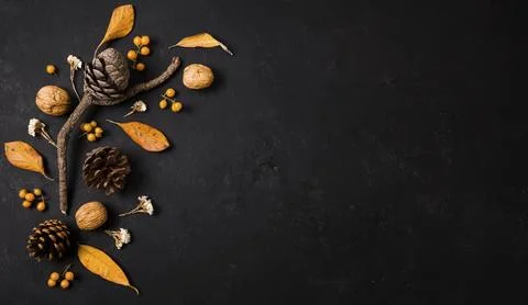 Top view autumn elements with pine cones copy space Stock Photos