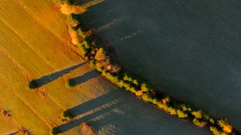 Top view of autumn fields and meadows. Scenic aerial view of fall landscape. Stock Footage 326166474