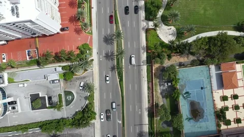 Top View Of Avenue Lined With Palm Trees on the sides Stock Footage 253002812