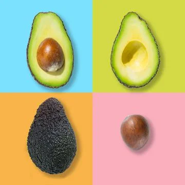 Top view of avocado fruit isolated on multicoloured background. Pop art design Stock Photos