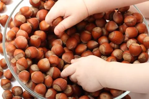 Top view of baby's hands touching hazelnuts Stock Photos