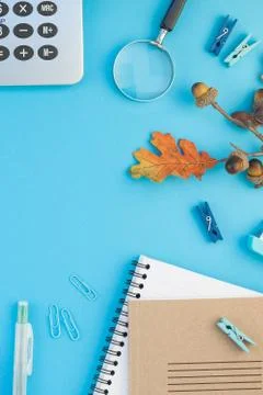 Top view back to school concept Stock Photos