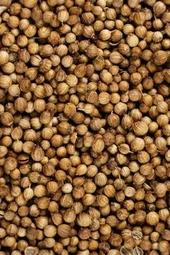Top view background of dried coriander seeds for cooking and recipe design Stock Photos