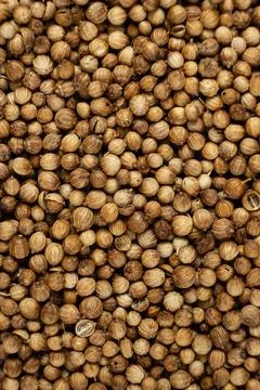 Top view background of dried coriander seeds for cooking and recipe design Stock Photos