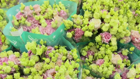 Top view of the background of pink eustoma flowers Video stock 306638407