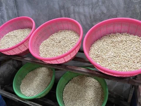 Top view of the background of soybeans Stock Photos