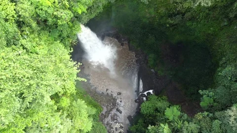 Top view of Bali waterfall drone Stockbeeldmateriaal 312304354