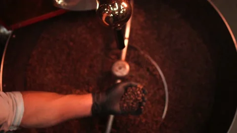Top view of barista man controlling and checking coffee beans holding in hands Stock Footage 147103137