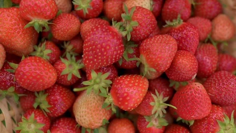Top view of a basket filled with fresh, ripe strawberries, showcasing their Stockbeeldmateriaal 280952458