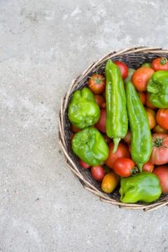 Top view on basket full of fresh organic vegetables - tomatoes and paprika on Stock Photos